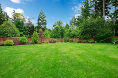 How Lawn Fertilization Helps Bermuda and St. Augustine Grass in Central Texas