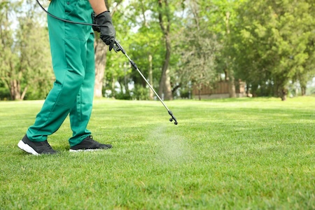 Lawn Insect Control: Signs Your Grass Is Being Damaged by Pests