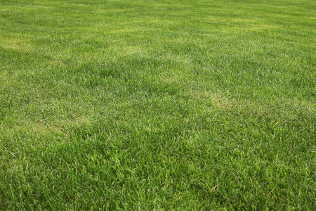 What Top Dressing Does for Soil Health and Lawn Growth