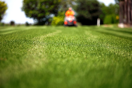 How Often Should You Mow Your Lawn in Leander?